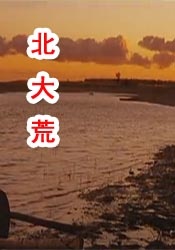 美日韩毛片